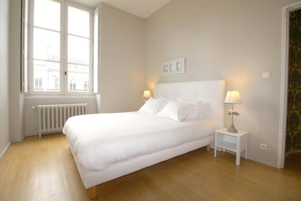 Appartements En Hyper Centre - Jardin Public Bordeaux Esterno foto